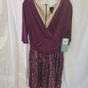 MELROSE: Mulberry/Nude Ruched Lace Chiffon Dress Elegant Romantic VTG Dress 16P‎
